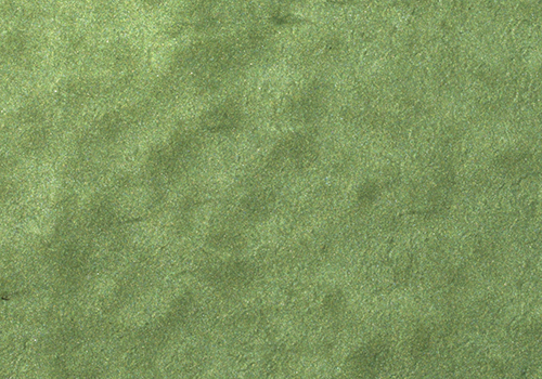 Solid Metallic - Avocado