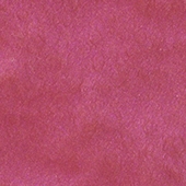 Solid Metallic - Bikini