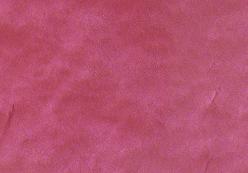 Solid Metallic - Bikini