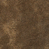 Solid Metallic - Mocha